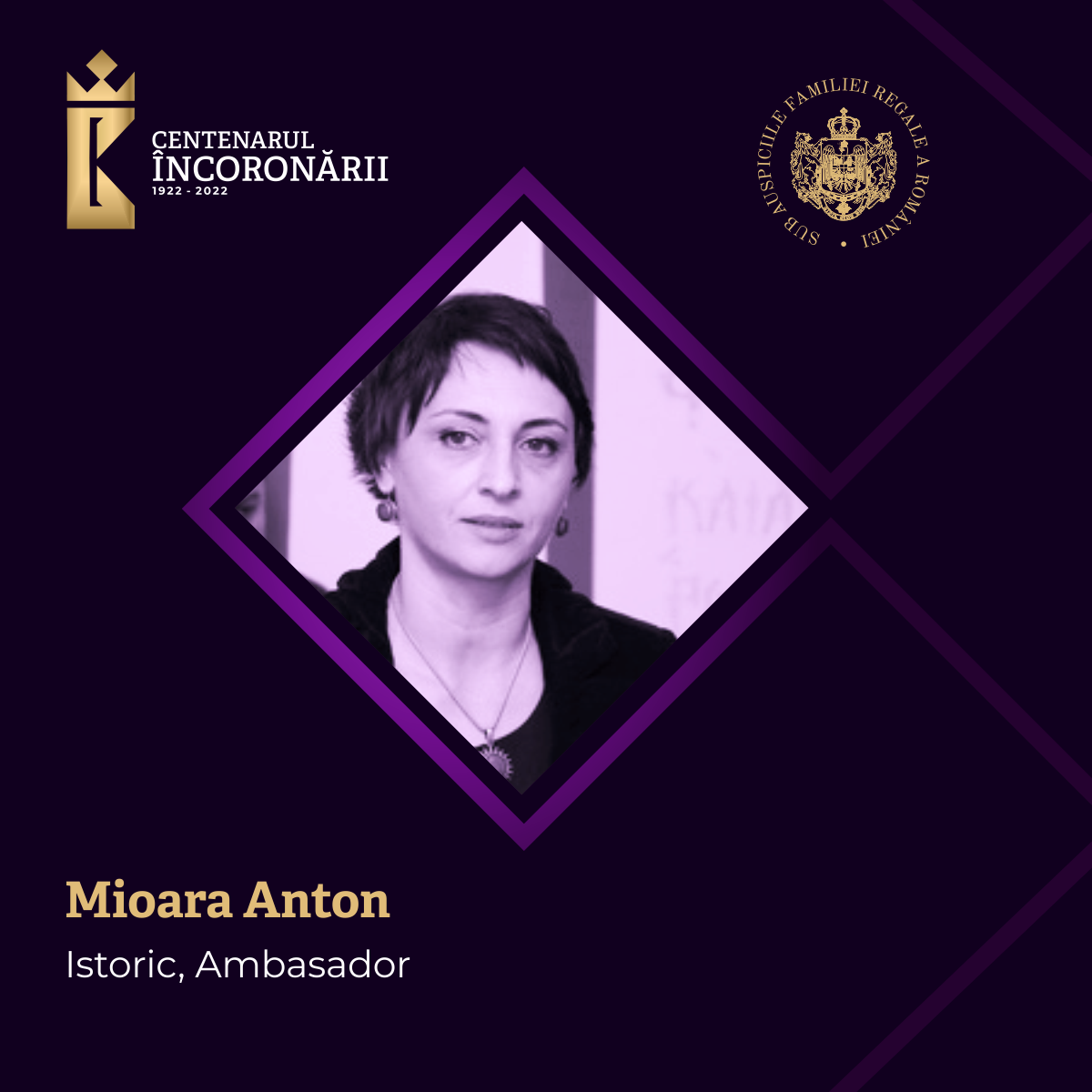 Mioara Anton Istoric, Ambasador