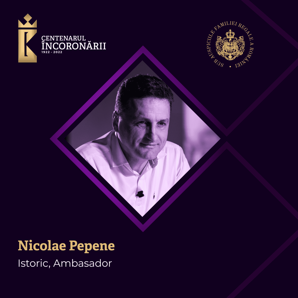 Nicolae Pepene Istoric, Ambasador