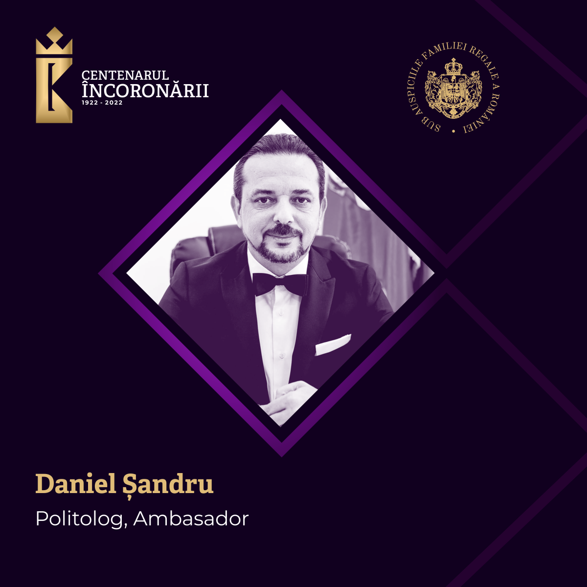 Daniel Șandru Politolog, Ambasador