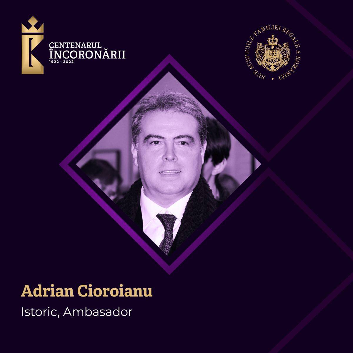 Adrian Cioroianu Istoric, Ambasador
